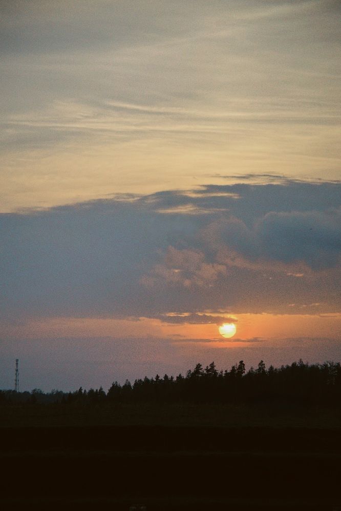 Фотография автора Юлия Белоногая