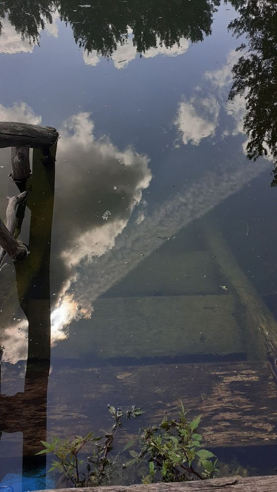 Фотография автора Елена Лещева