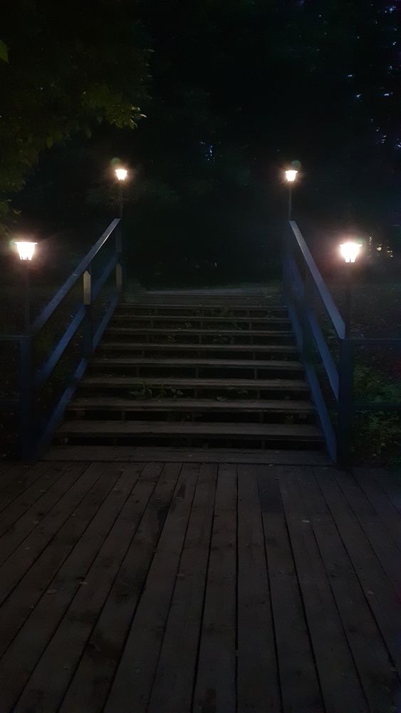 Фотография автора Елена Лещева