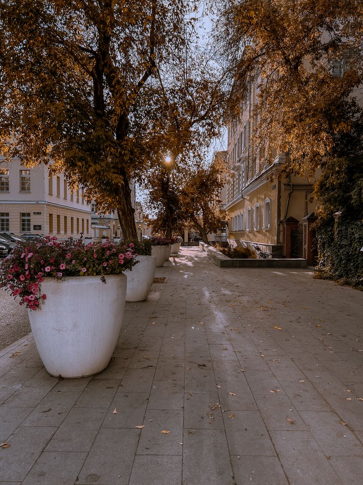 Фотография автора Константин Шипицын