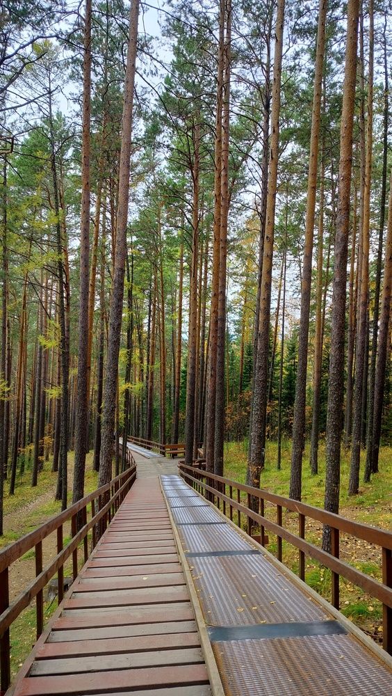 Фотография автора Анастасия Горбачева