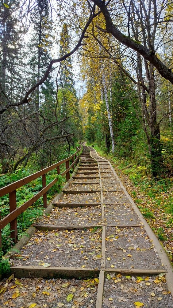 Фотография автора Анастасия Горбачева