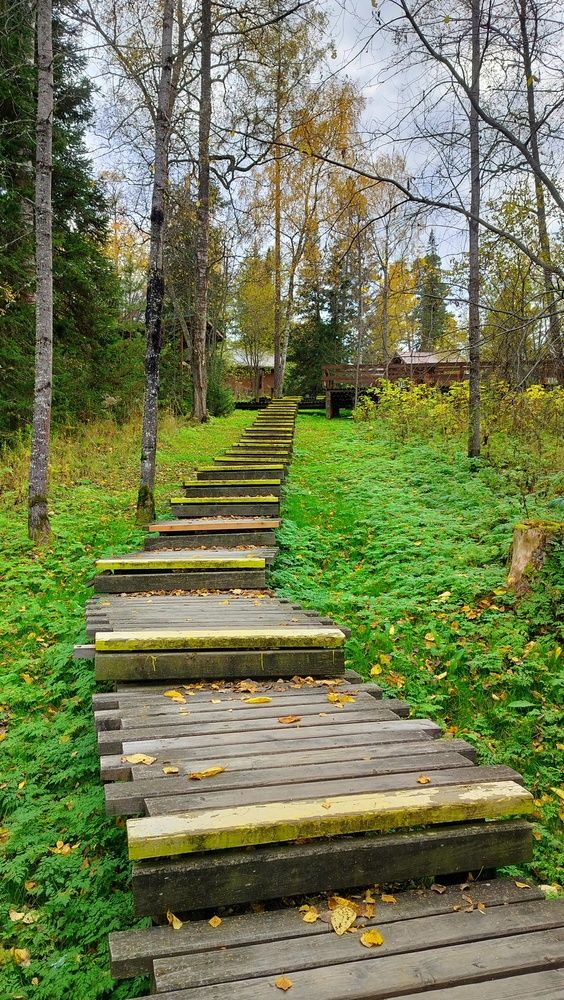Фотография автора Анастасия Горбачева
