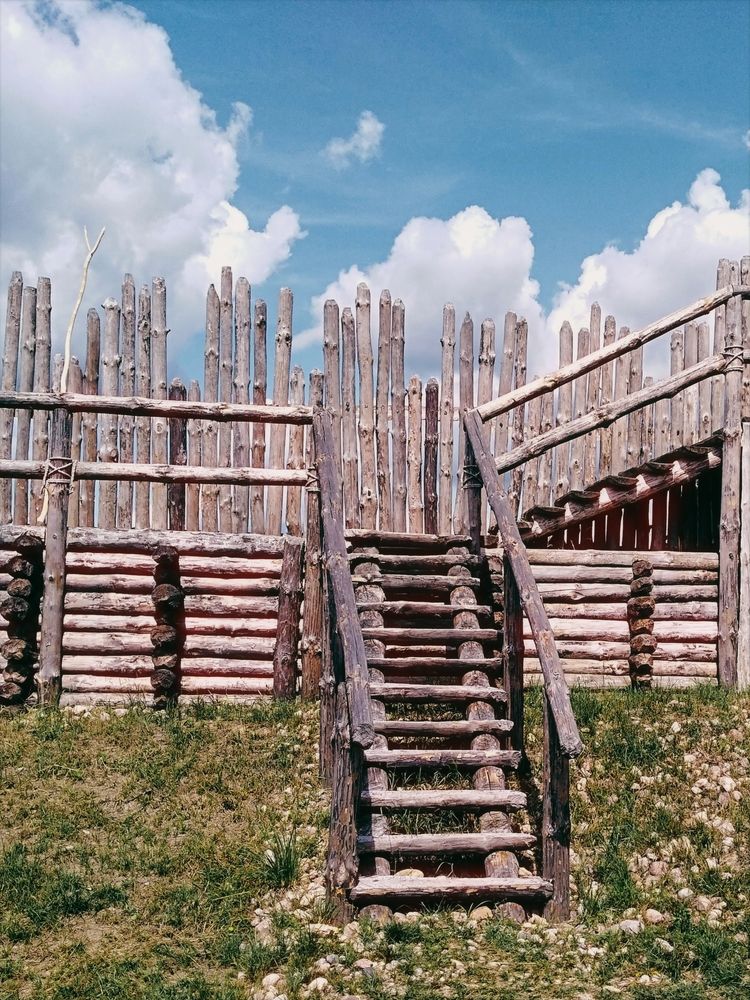 Фотография автора Светлана Олейник