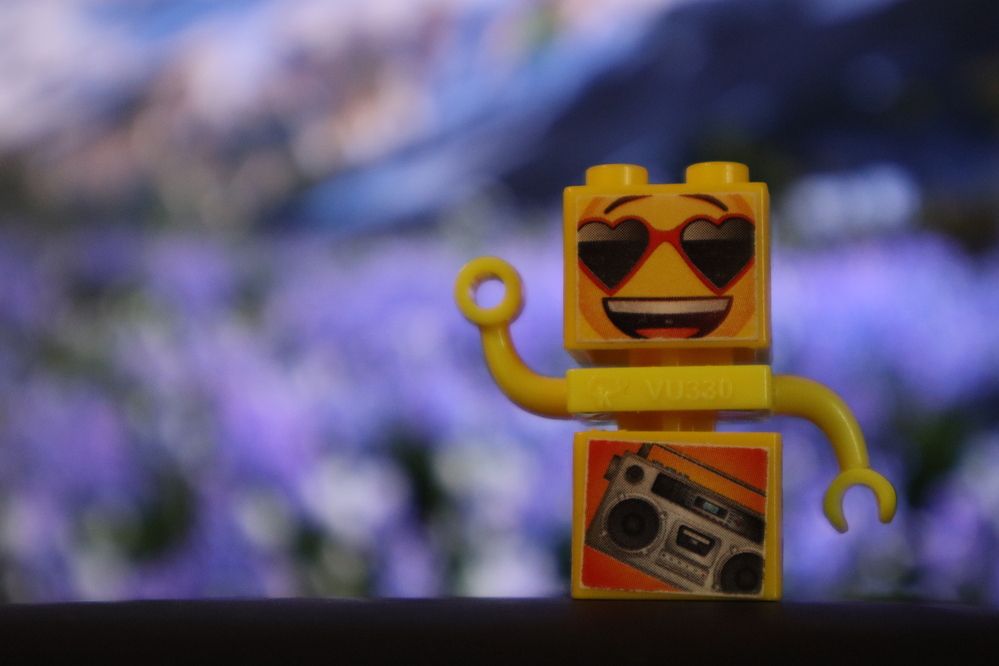 Фотография автора Ксения Золотарь