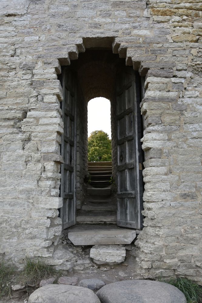 Фотография автора Юлия Ю.