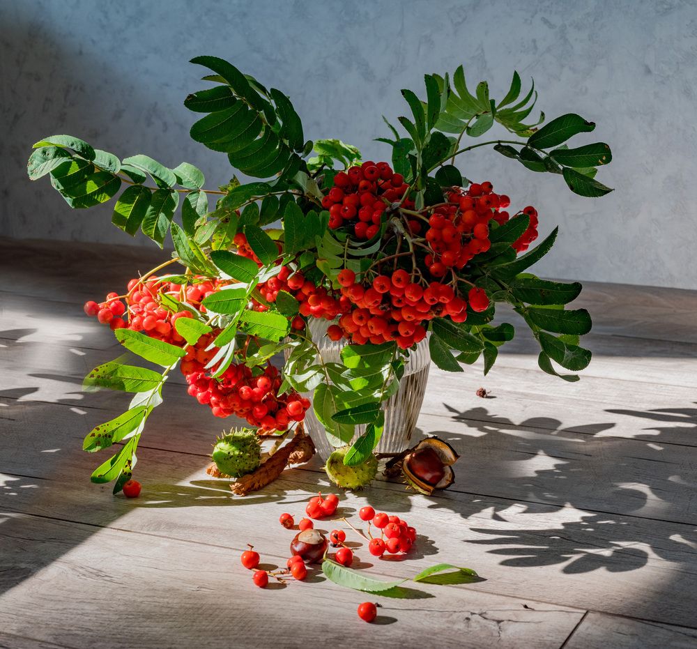 Фотография автора Марина Леоненко