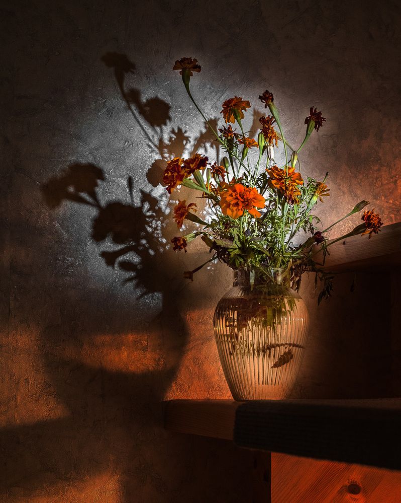 Фотография автора Марина Леоненко