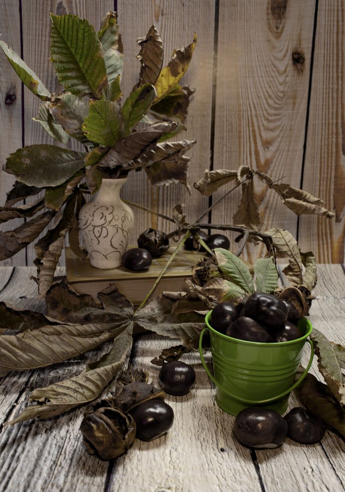 Photograph by Катерина Остапенко