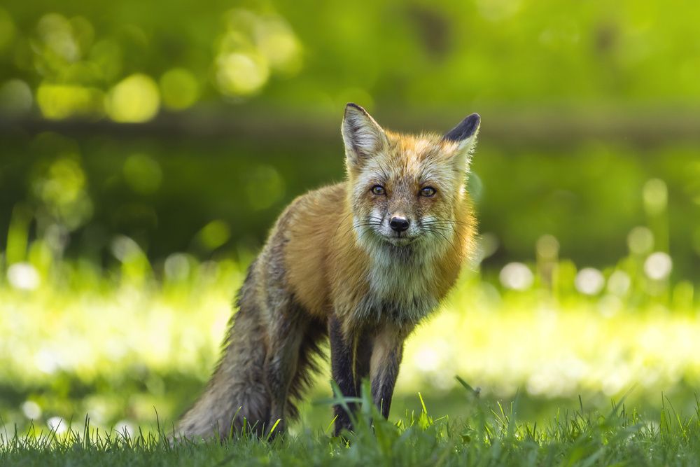 Photograph by Lu Gao