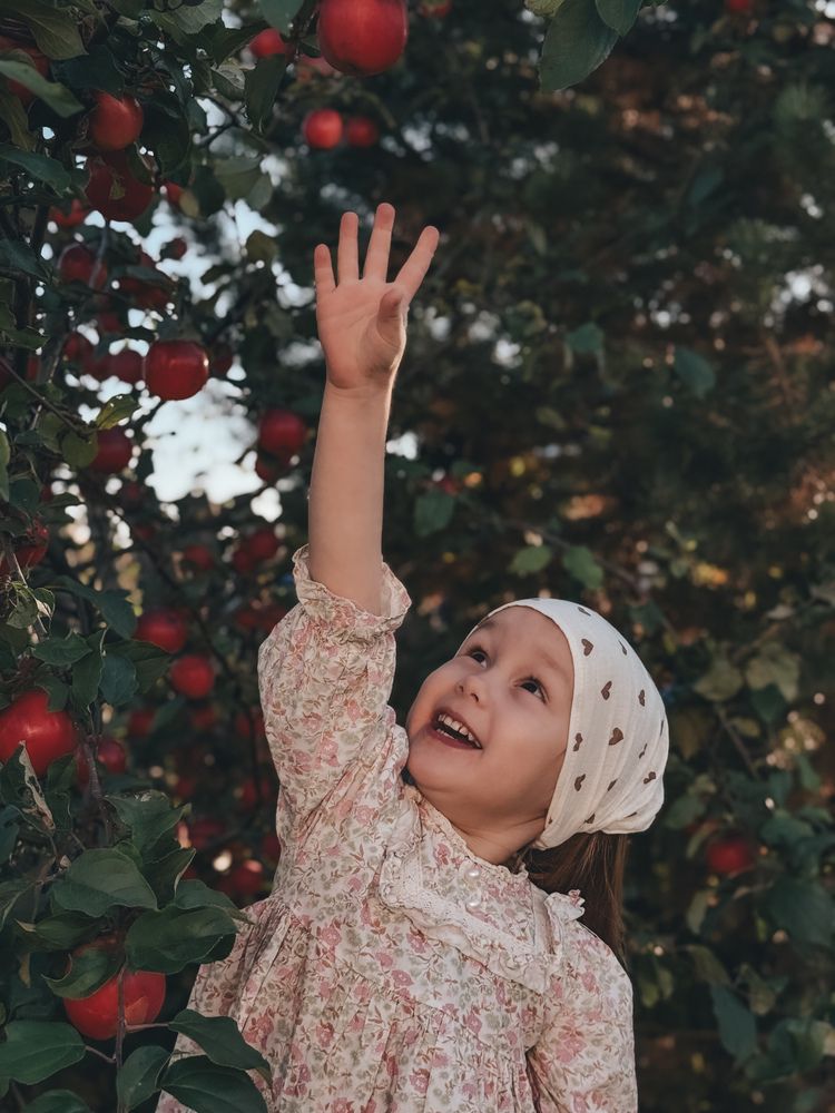 Фотография автора Ольга Князева