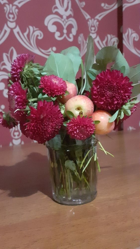 Фотография автора Елена Лещева