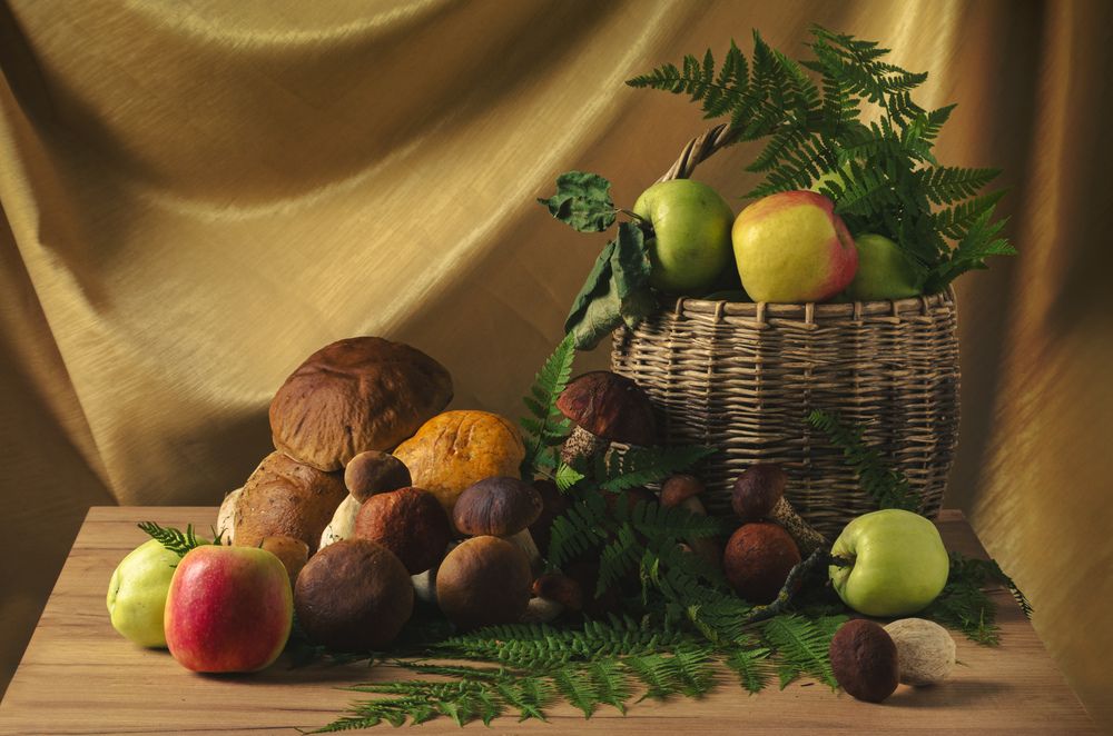 Фотография автора Yulia