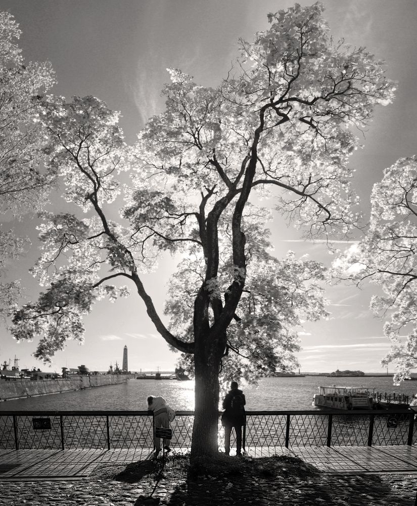 Photograph by Сергей Григорьев