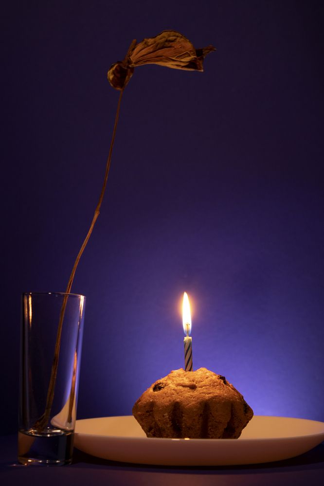 Photograph by Екатерина Пачина