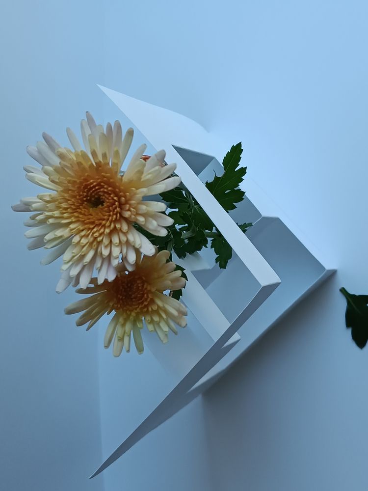 Photograph by Екатерина Пачина