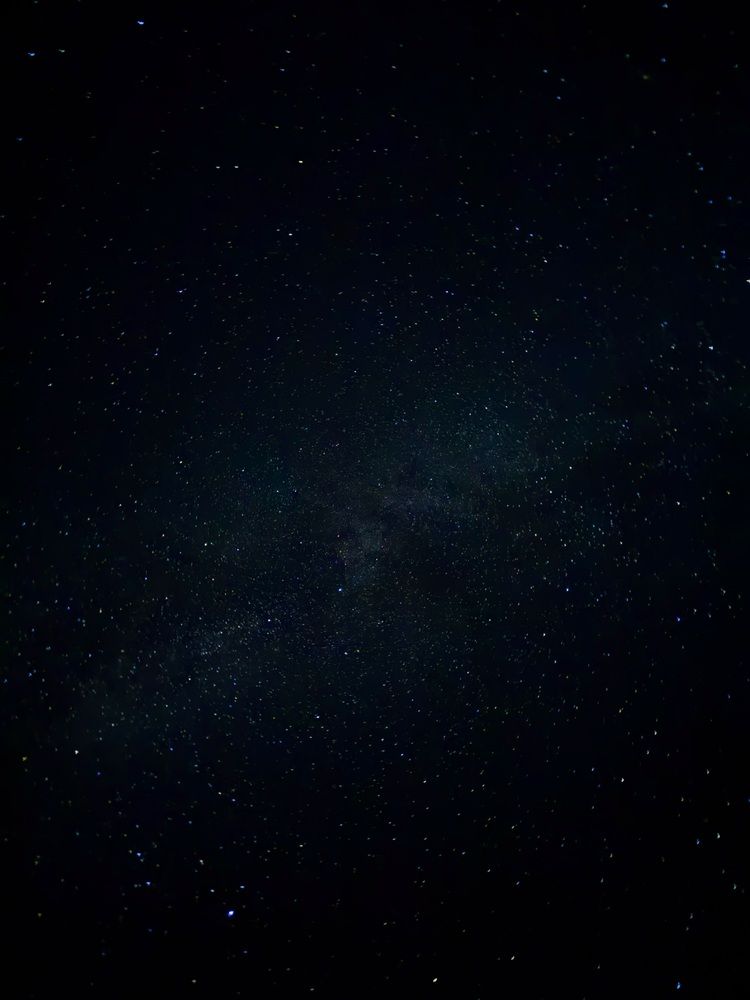 Photograph by Елена Меньшикова