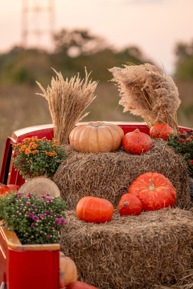 Фотография автора Никита Ткачев