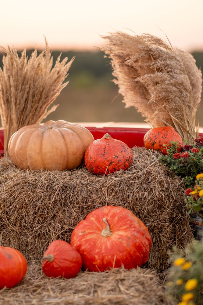 Фотография автора Никита Ткачев