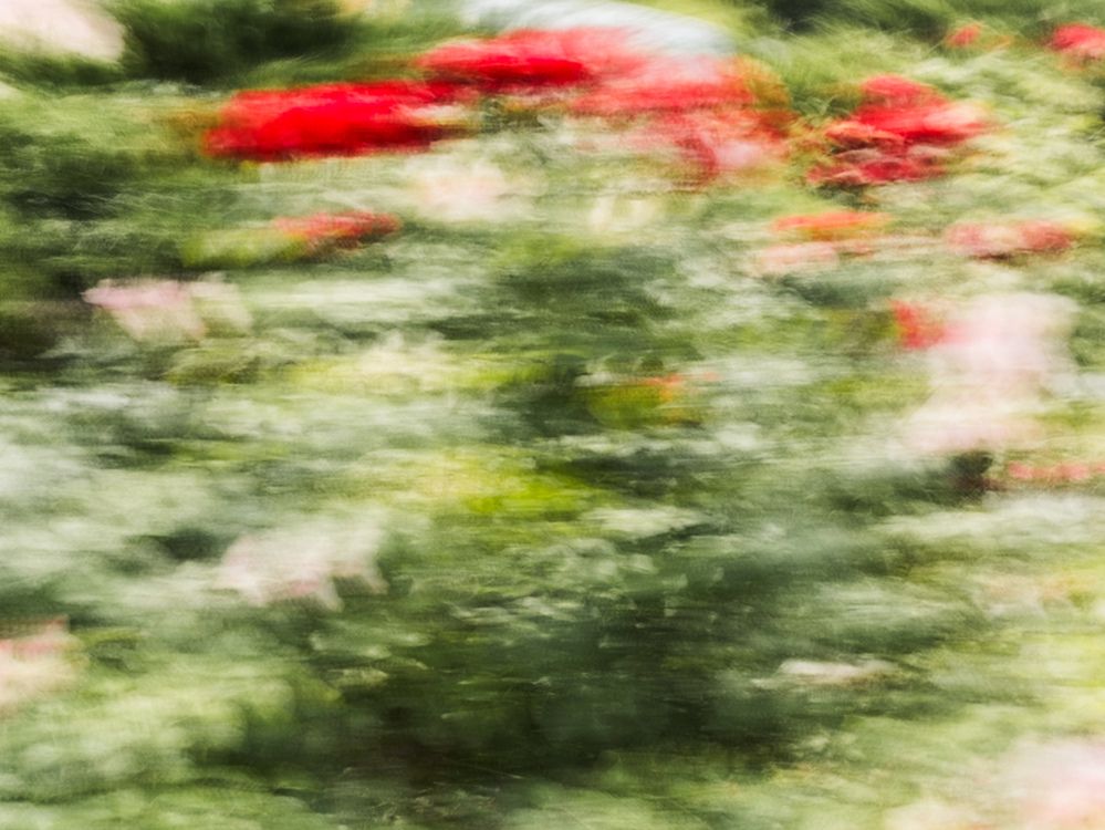 Фотография автора Яна Сидорова