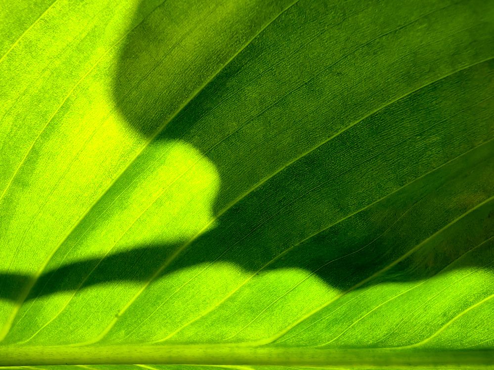 Фотография автора Марина Корреа Ластра