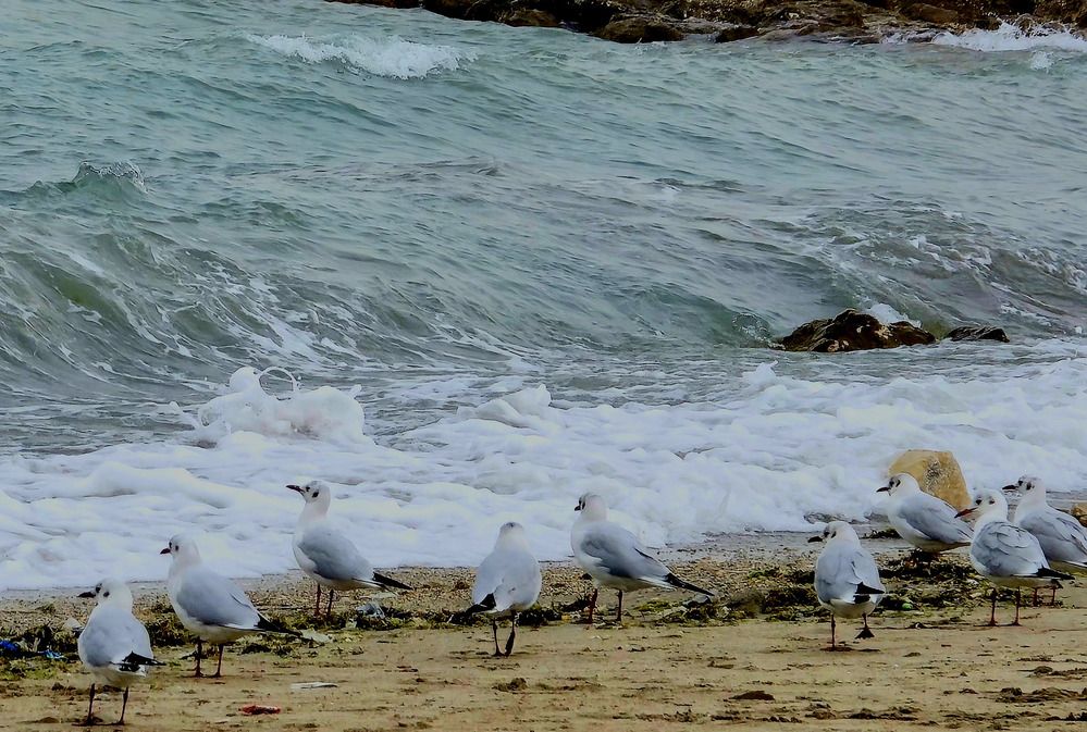 Photograph by behrooz roosta