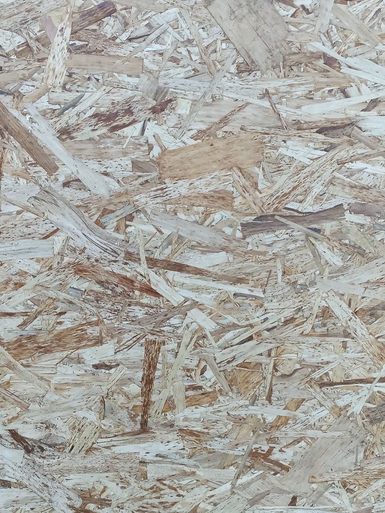 Photograph by Екатерина Пачина