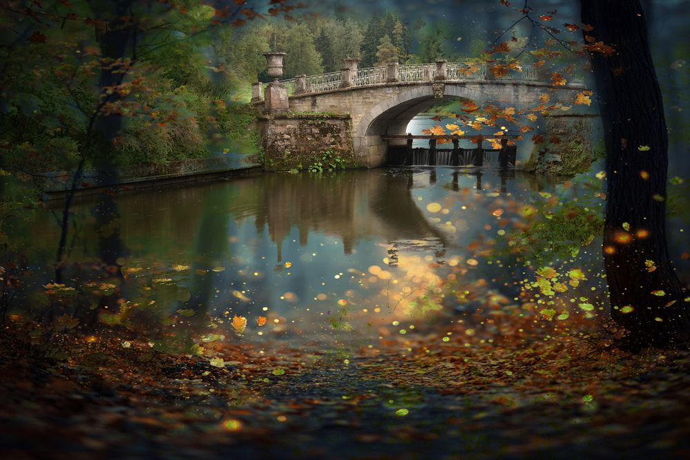 Фотография автора Елена Суворова