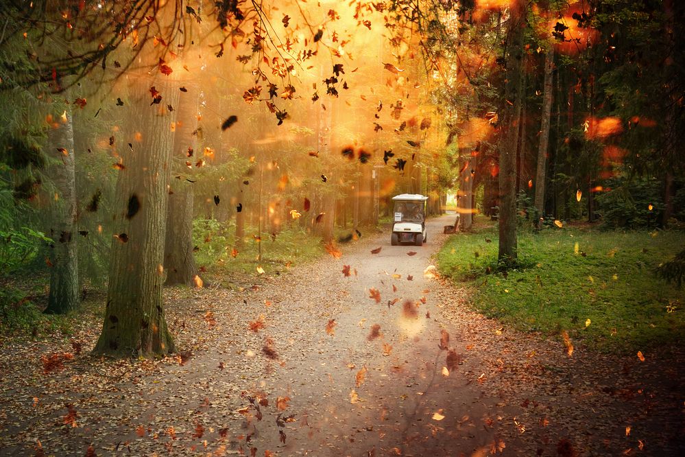 Фотография автора Елена Суворова