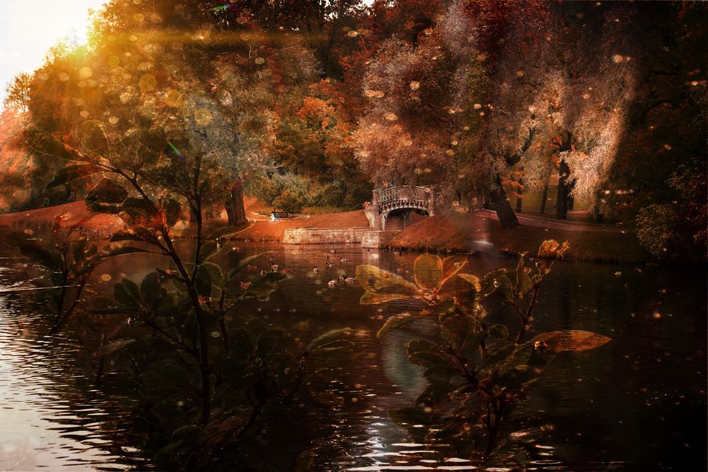 Фотография автора Елена Суворова