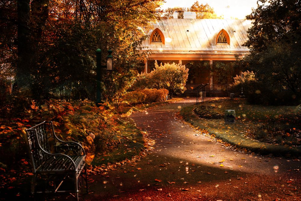 Фотография автора Елена Суворова