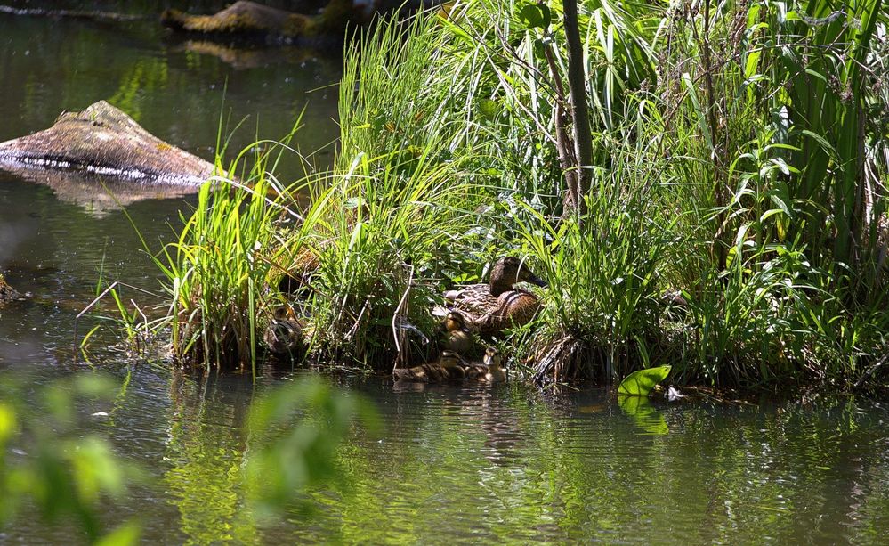 Фотография автора Владимир Кулешов