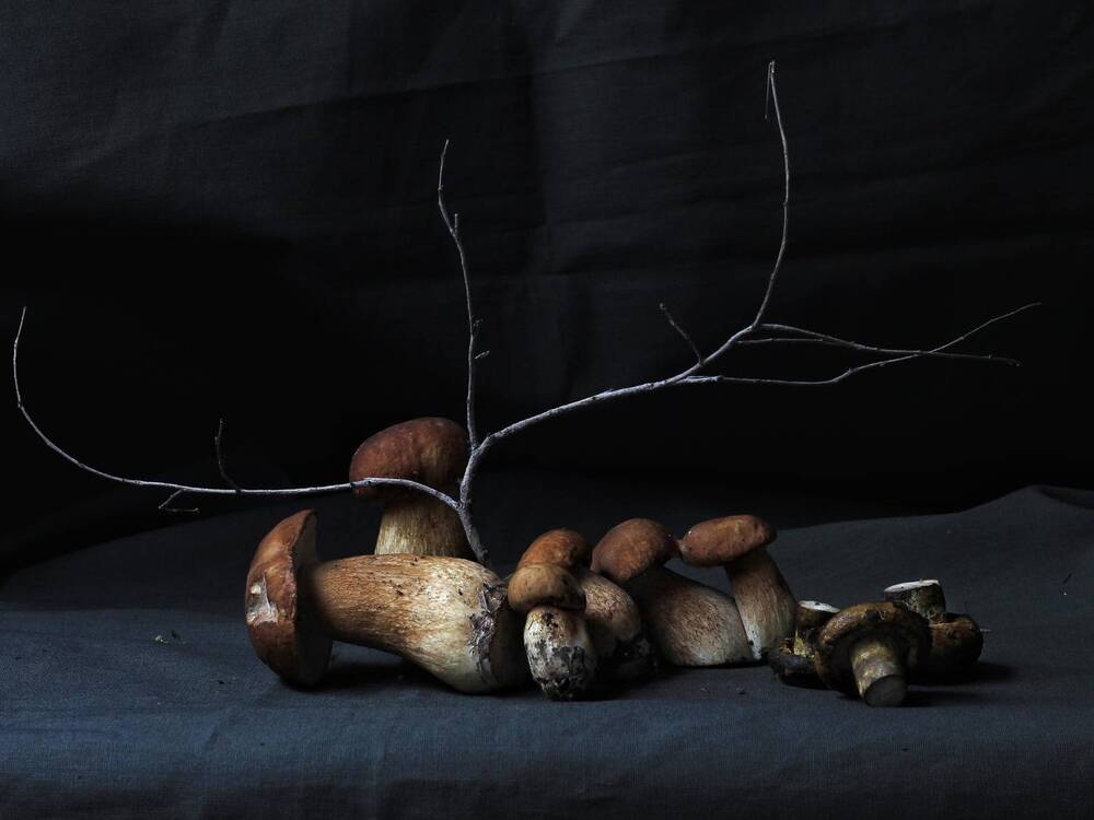 Фотография автора Екатерина Першина