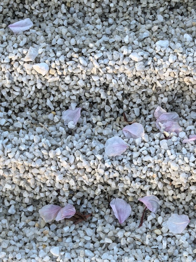 Фотография автора Ксения Золотарь