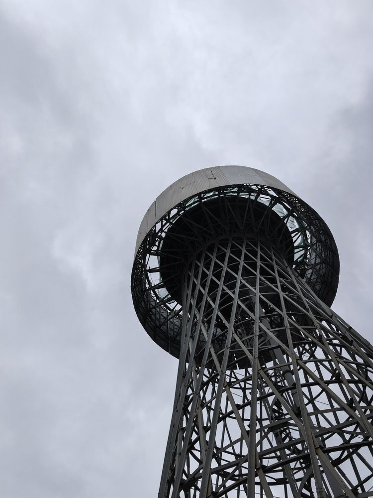 Фотография автора Ксения Золотарь