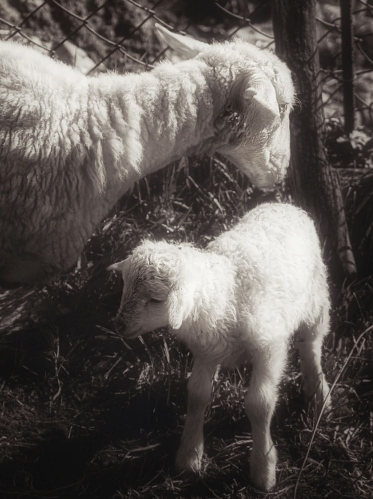 Фотография автора Екатерина Першина