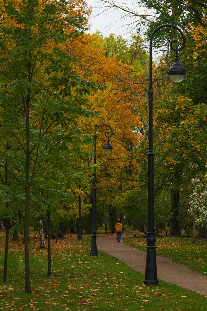 Фотография автора Екатерина Першина
