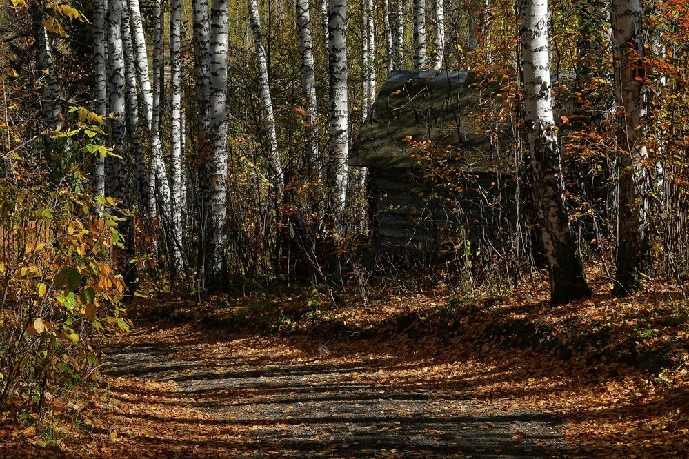 Фотография автора Екатерина Першина