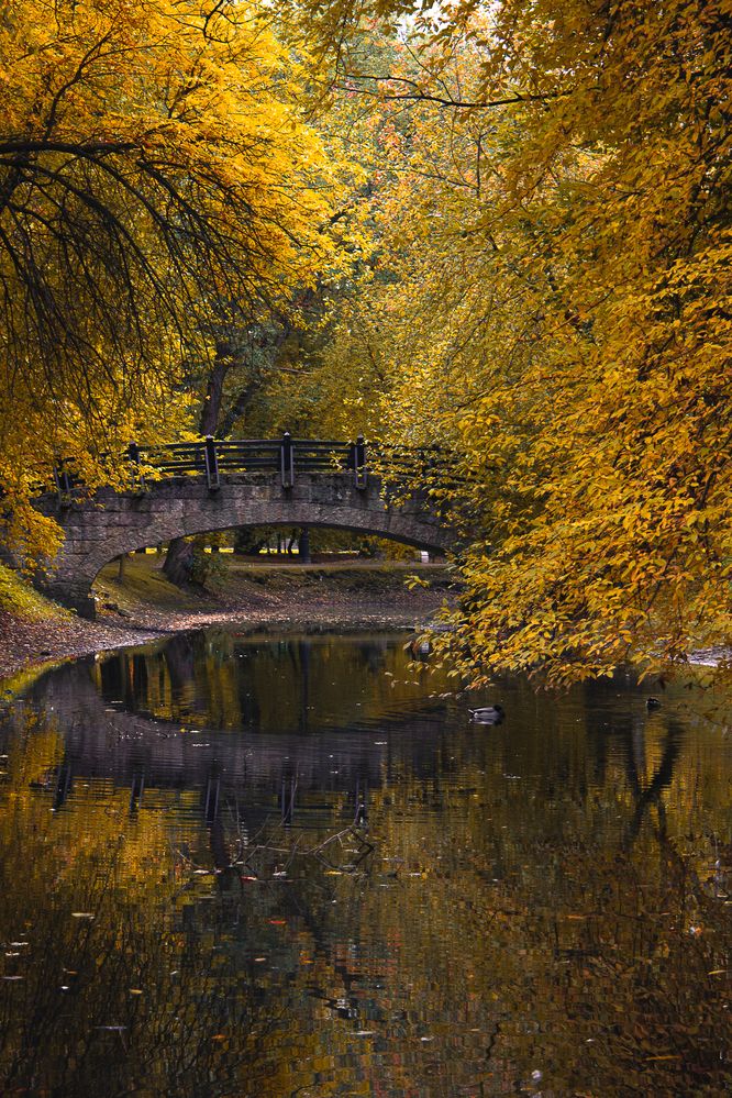 Фотография автора Екатерина Першина