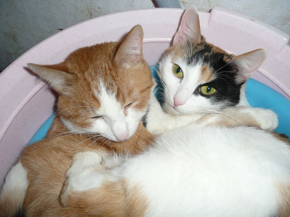 Photograph by Александр Бастраков