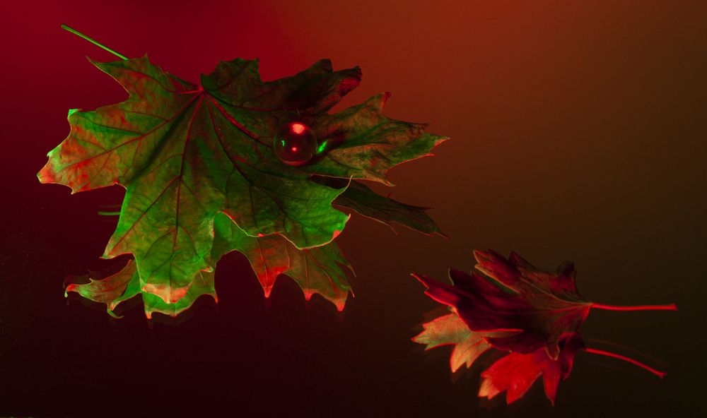 Photograph by Катерина Остапенко