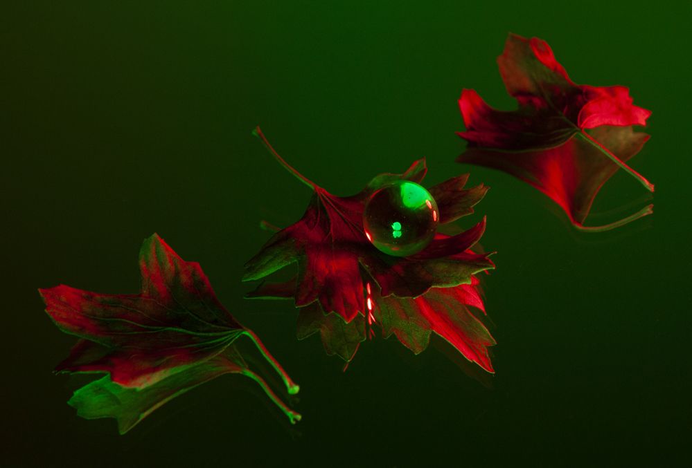 Photograph by Катерина Остапенко