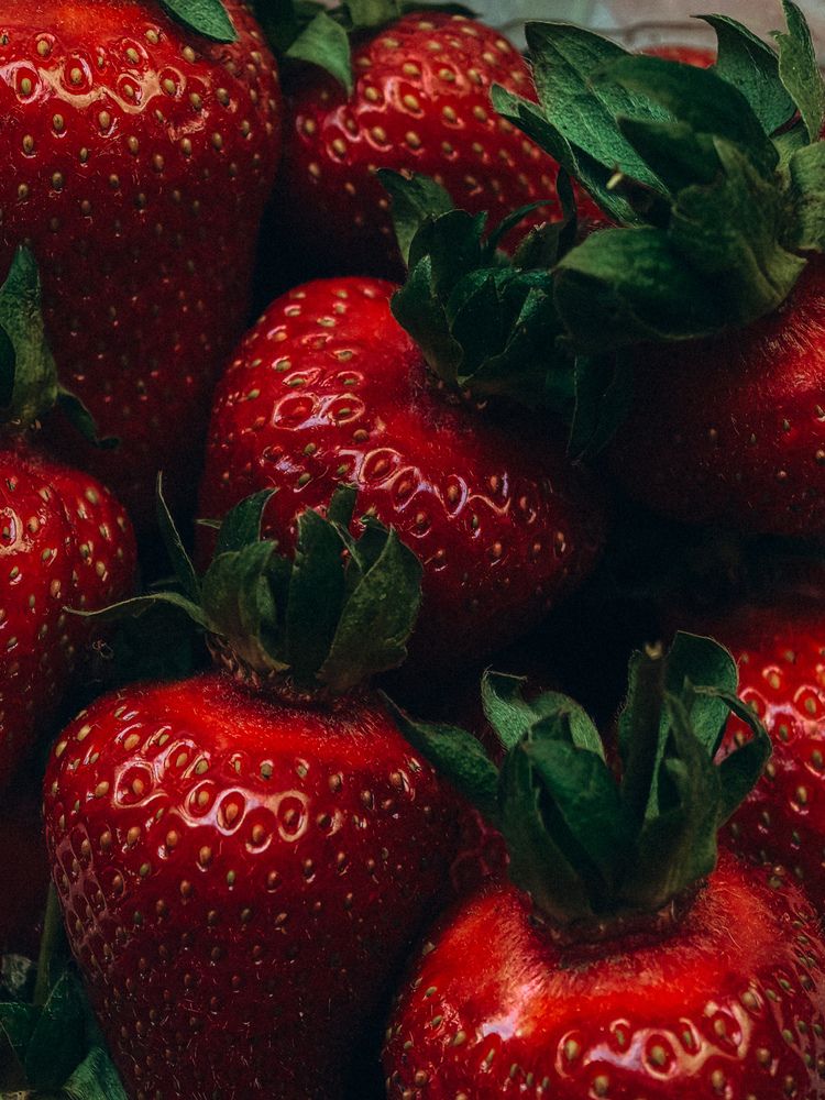 Фотография автора Анна Ворончихина