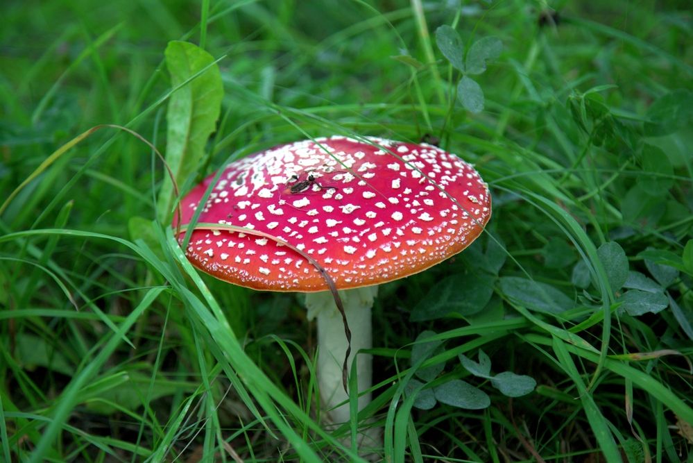 Фотография автора Владимир Кулешов