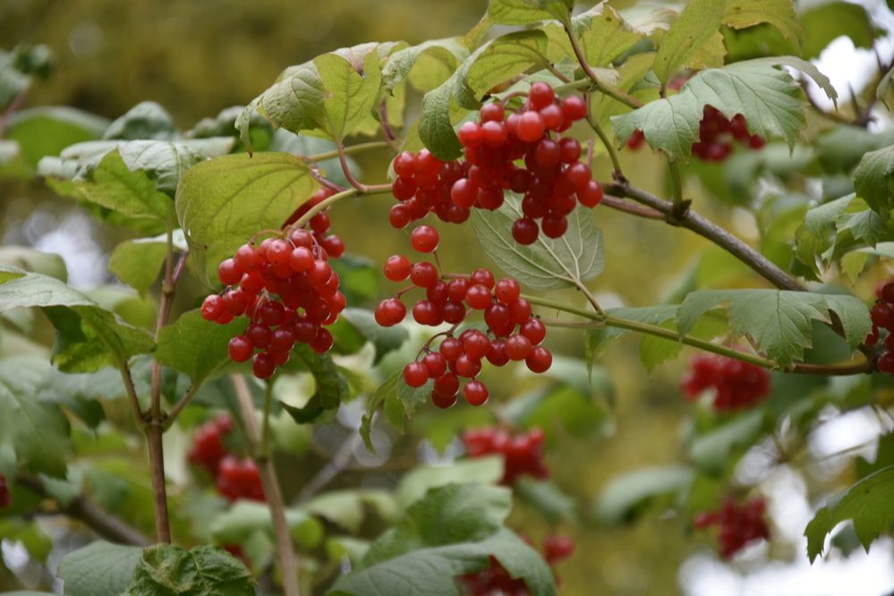 Фотография автора Юлия Ю.