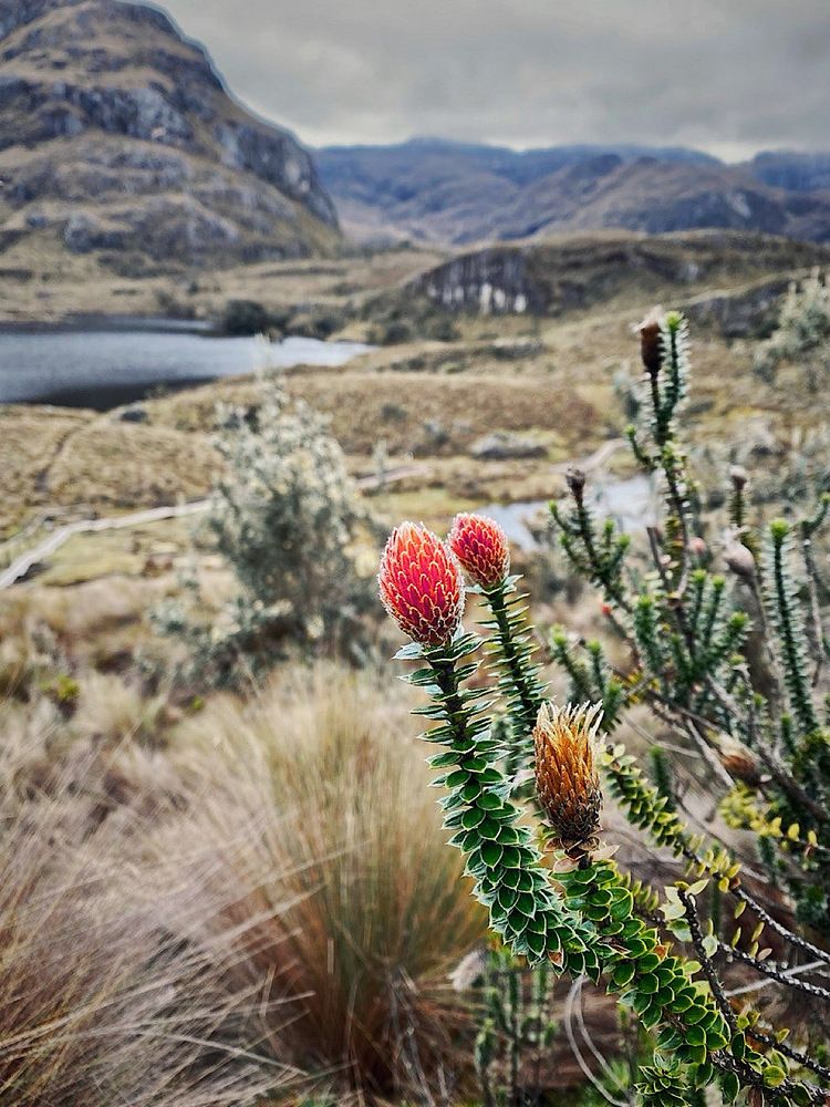 Photograph by Юлия Порфирьева