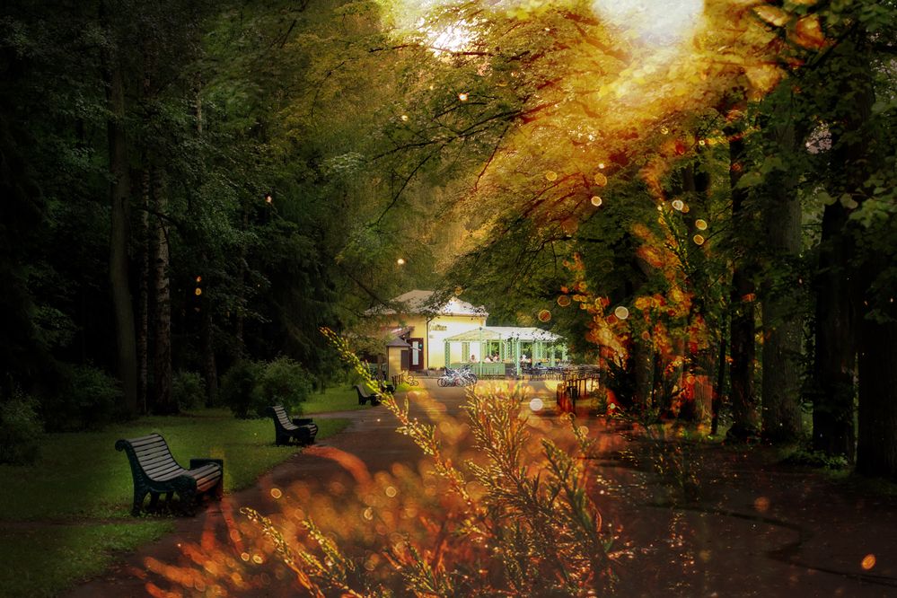 Фотография автора Елена Суворова