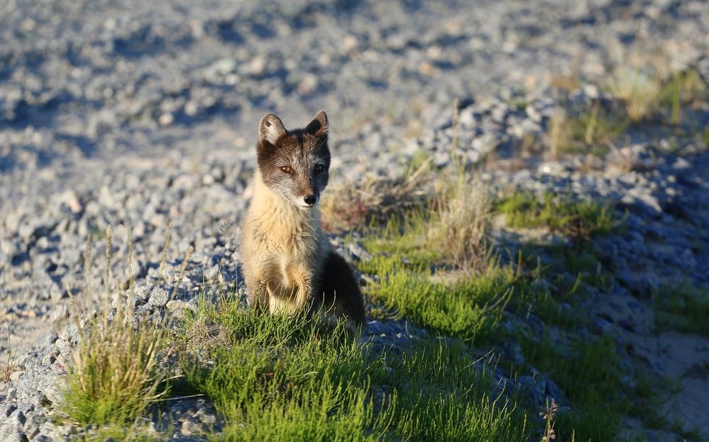 Фотография автора Владимир Кулешов