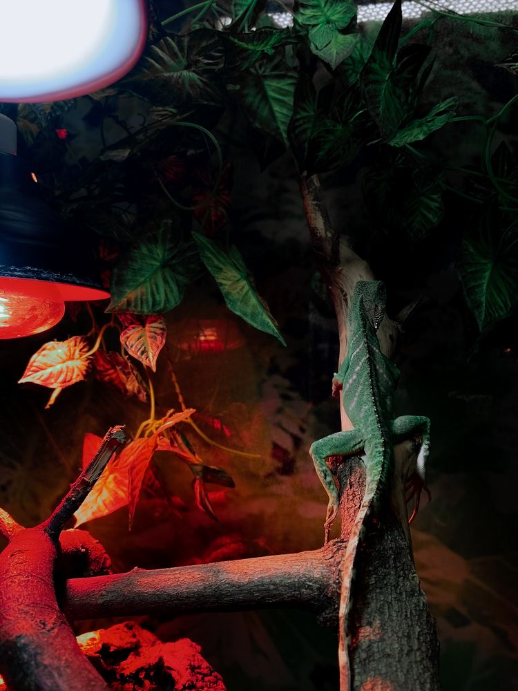 Фотография автора Константин Шипицын