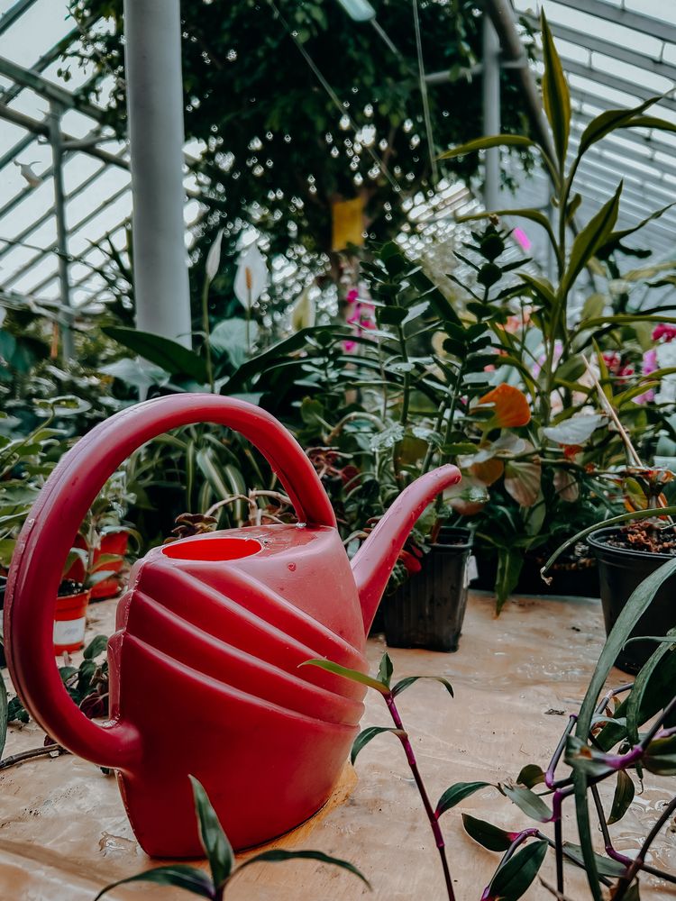 Фотография автора Константин Шипицын